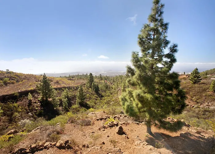 Holiday home Salon Y Casa Eventos Granadilla De Abona